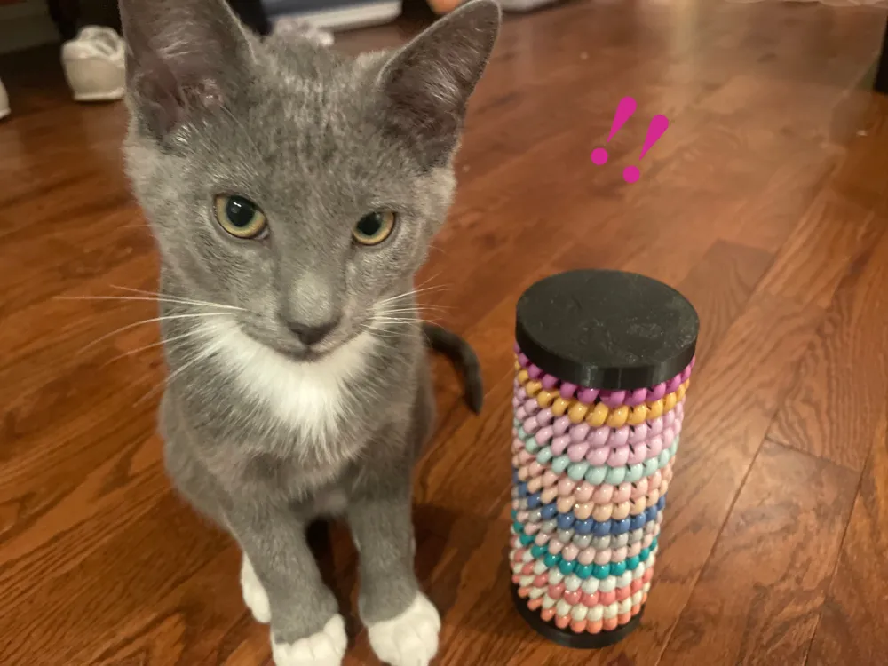 A cat sitting next to a scratching post